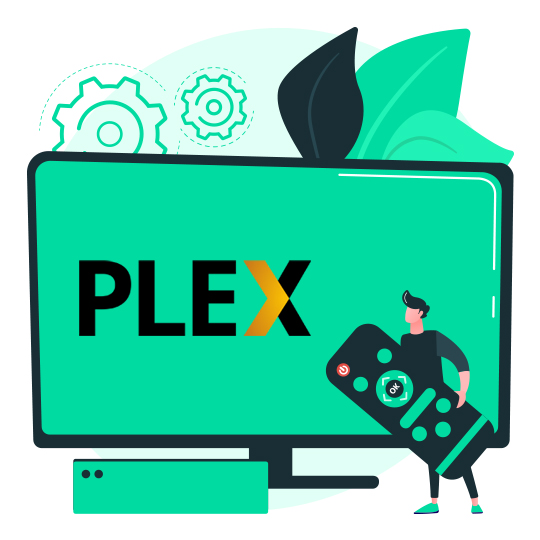 Best Plex Plugins You should install