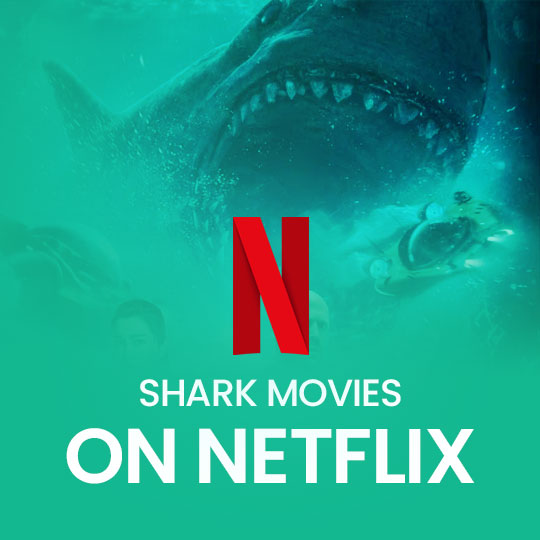 Shark Movies On Netflix