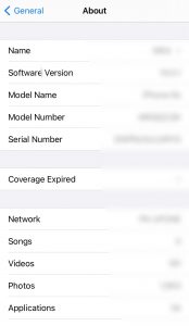 about section iPhone settings