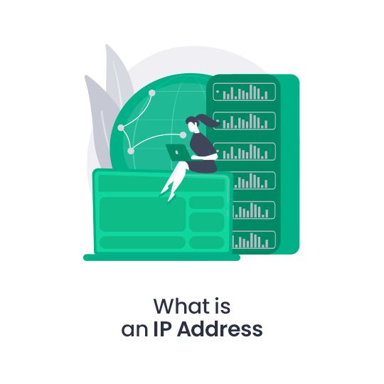 What Is An IP Address