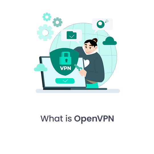 What is OpenVPN