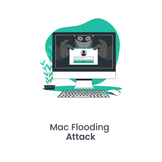 Mac Flooding Attack