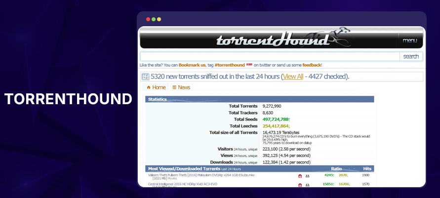 TorrentHound