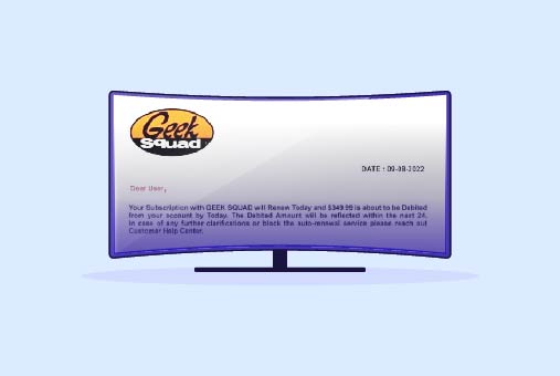 The 2025 Geek Squad Email Scam
