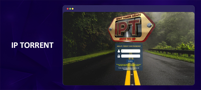 IP Torrent